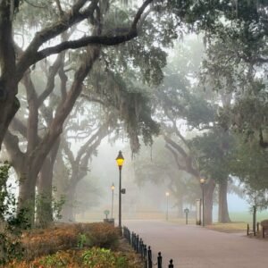 Still Burning - Forsyth Park, Savannah, Georgia