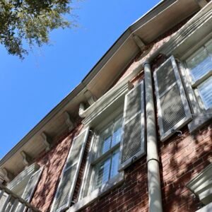Looking Up in Savannah - Historic District, Savannah, Georgia