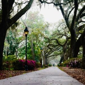 The Promenade - Forsyth Park, Savannah, Georgia