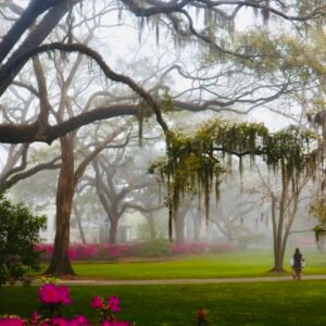 A Misty Morning Walk - Forsyth Park, Savannah, Georgia