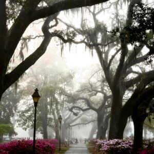 Forsyth in Bloom - Forsyth Park, Savannah, Georgia