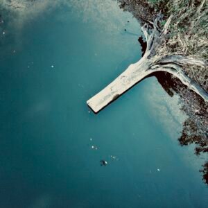 Into the Teal - Northern Michigan, Lower Peninsula