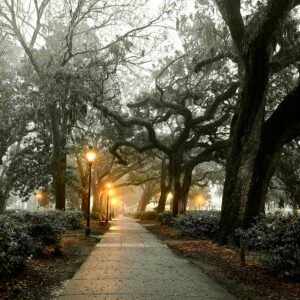 Haunted Sidewalk Forsyth Park, Savannah, Georgia