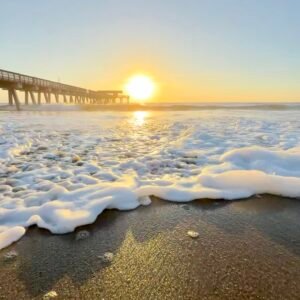 Gold Shore - Tybee Island, Georgia
