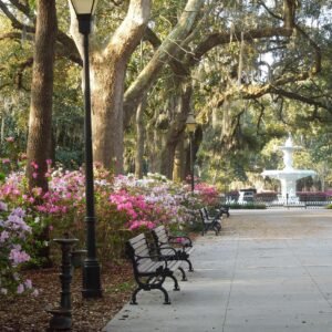 Forsyth Park in The Spring - Savannah, Georgia