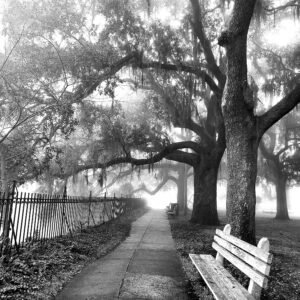 Factors Walk in the Fog Savannah, Georgia Copy