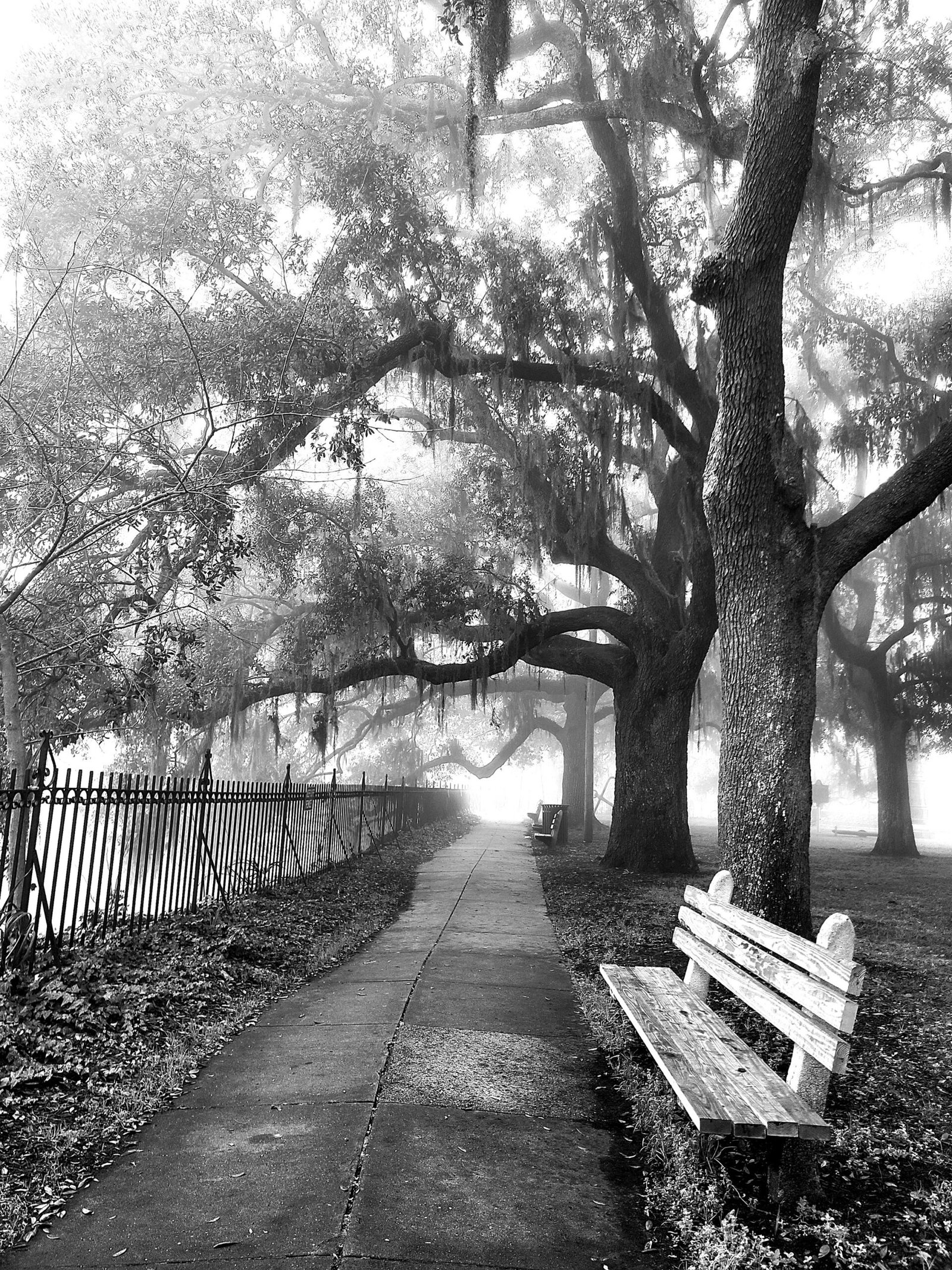Factors Walk in the Fog Savannah, Georgia Copy