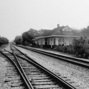 Tracks Through Time