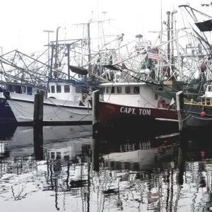 The Trawlers of the Mississippi Gulf
