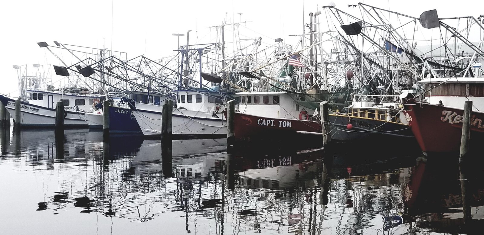 The Trawlers of the Mississippi Gulf