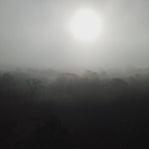 Near Devil’s Hole, Morning