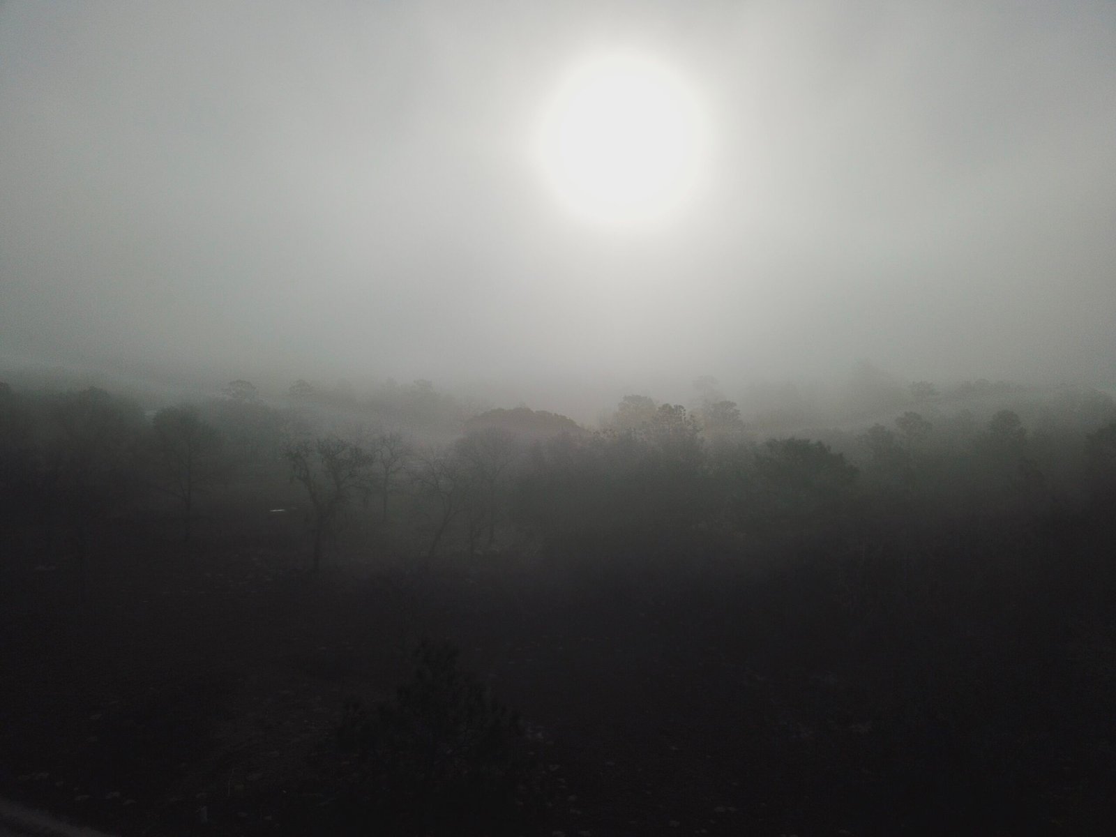Near Devil’s Hole, Morning