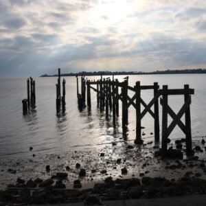 Relics, Cedar Key