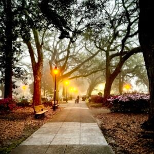 Forsyth Park Glow, Evening