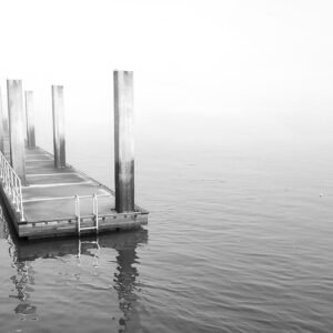 Alone in the Fog — Savannah River